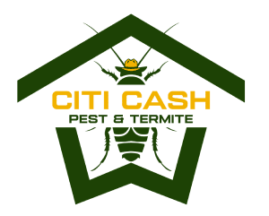 Citi Cash Pest